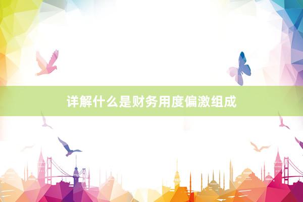 详解什么是财务用度偏激组成